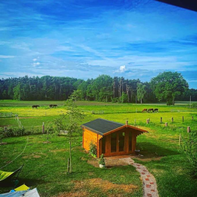 Wunderschoene Ferienwohnung Auf Dem Bauernhof Greven Extérieur photo