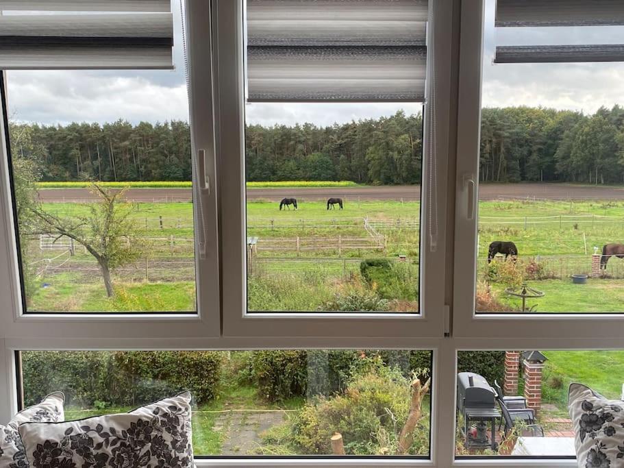 Wunderschoene Ferienwohnung Auf Dem Bauernhof Greven Extérieur photo