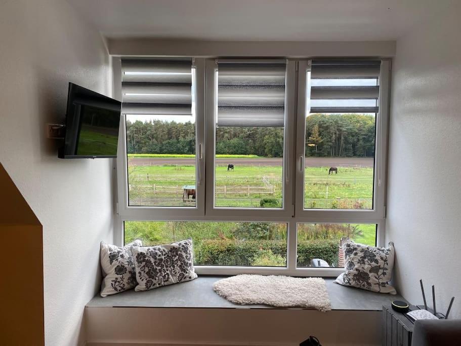 Wunderschoene Ferienwohnung Auf Dem Bauernhof Greven Extérieur photo