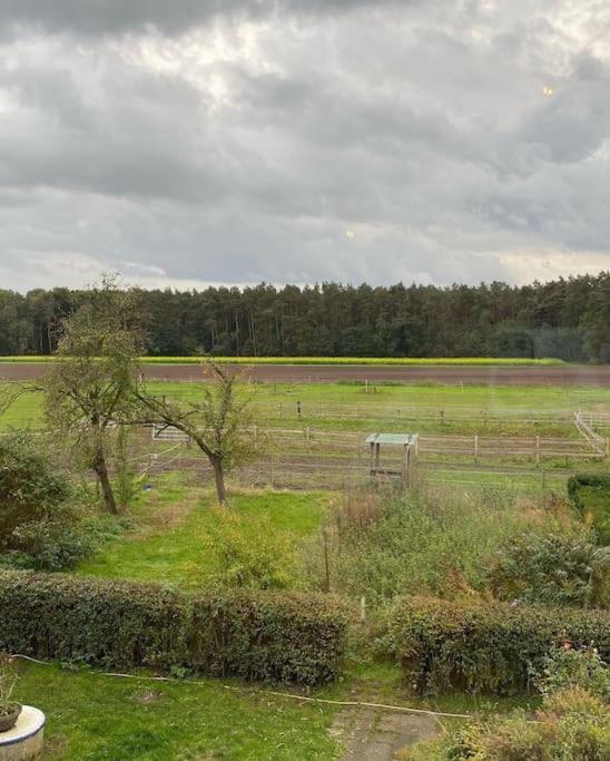 Wunderschoene Ferienwohnung Auf Dem Bauernhof Greven Extérieur photo